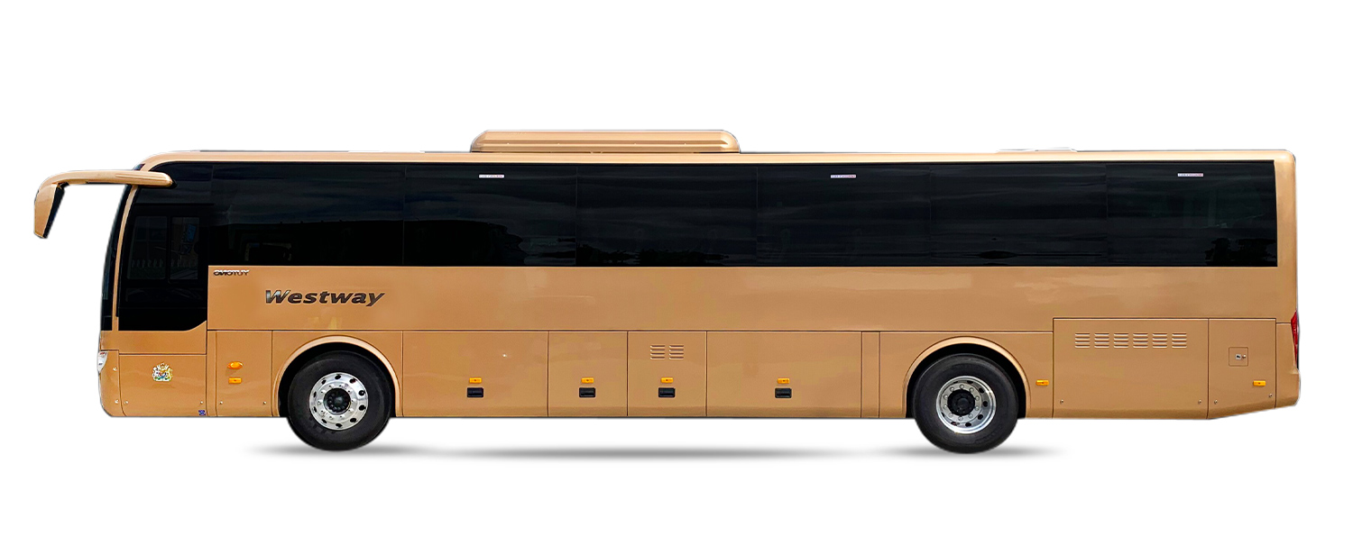 coach electric